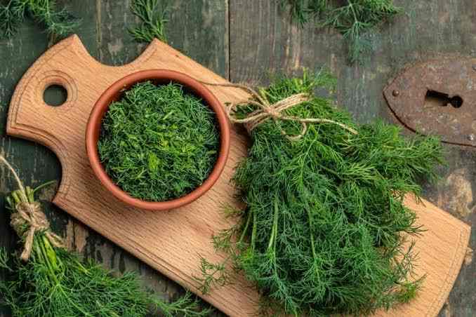 رکز پخش عمده شوید خشک؛ عطر و طعم اصیل در بسته بندی های بزرگ و به صرفه